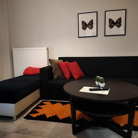 Maiandros - Explore Center By Foot - Close To Aristotelous Square 塞萨洛尼基 外观 照片